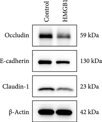 Details are in the caption following the image