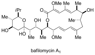 Total Synthesis of Bafilomycin A1