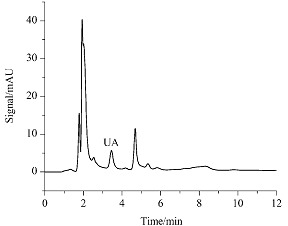 Determination of Uric Acid in Human Urine by Ion-exclusion Chromatography with UV Detection Using Pure Water as Mobile Phase