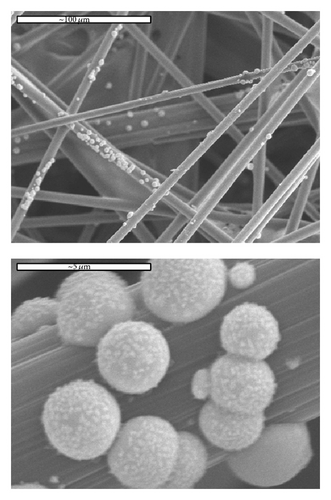 Details are in the caption following the image