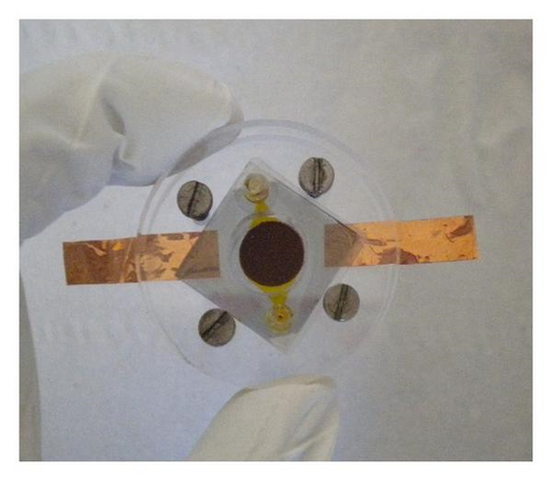 Details are in the caption following the image Details are in the caption following the image