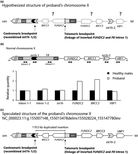 Details are in the caption following the image Details are in the caption following the image