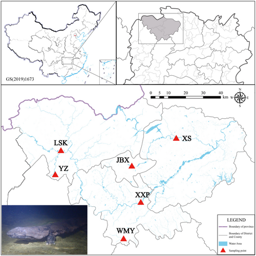 Details are in the caption following the image Details are in the caption following the image