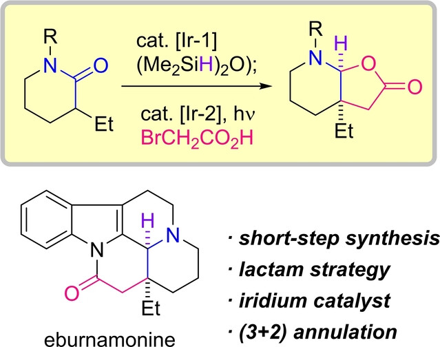 Iridium-Catalyzed Reductive (3+2) Annulation of Lactams Enabling the Rapid Total Synthesis of (±)-Eburnamonine