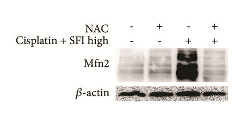 Details are in the caption following the image
