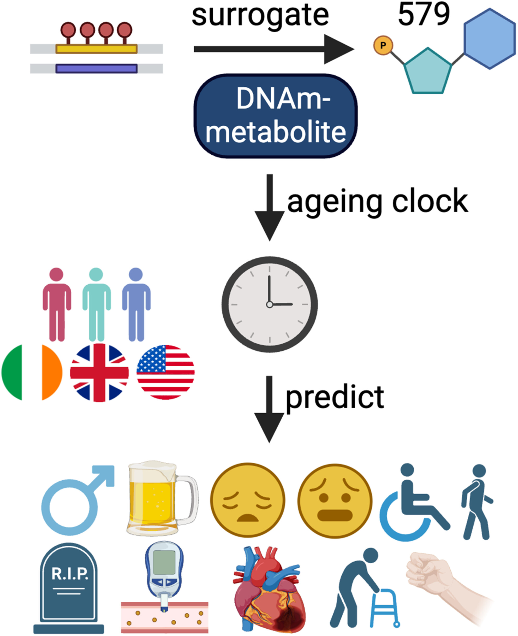 Assessing Metabolic Ageing via DNA Methylation Surrogate Markers: A Multicohort Study in Britain, Ireland and the USA