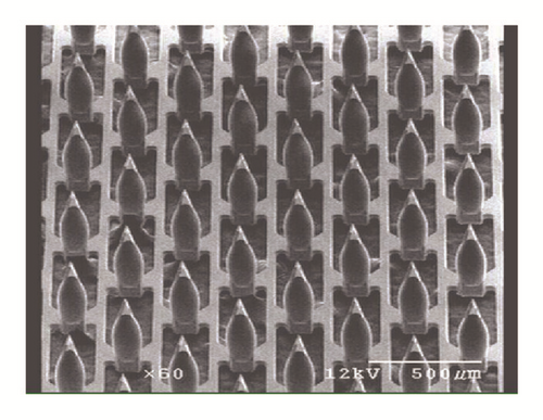 Details are in the caption following the image