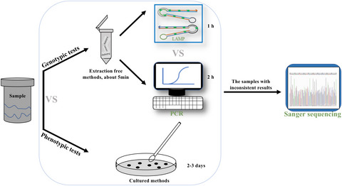 Evaluation of LAMP assay using phenotypic tests and PCR for detection of blaKPC gene among clinical samples