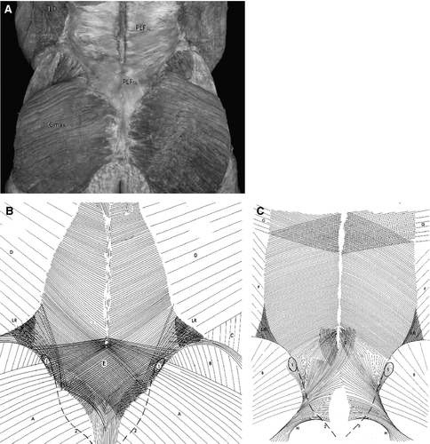 Details are in the caption following the image Details are in the caption following the image