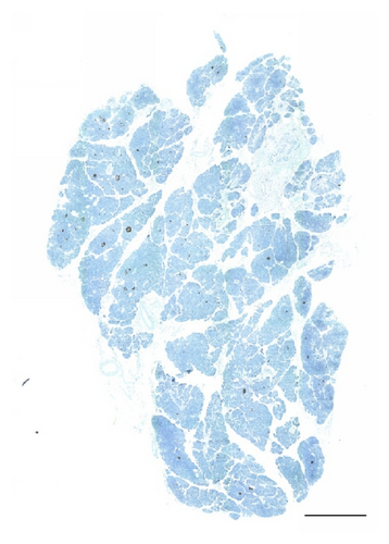 Details are in the caption following the image