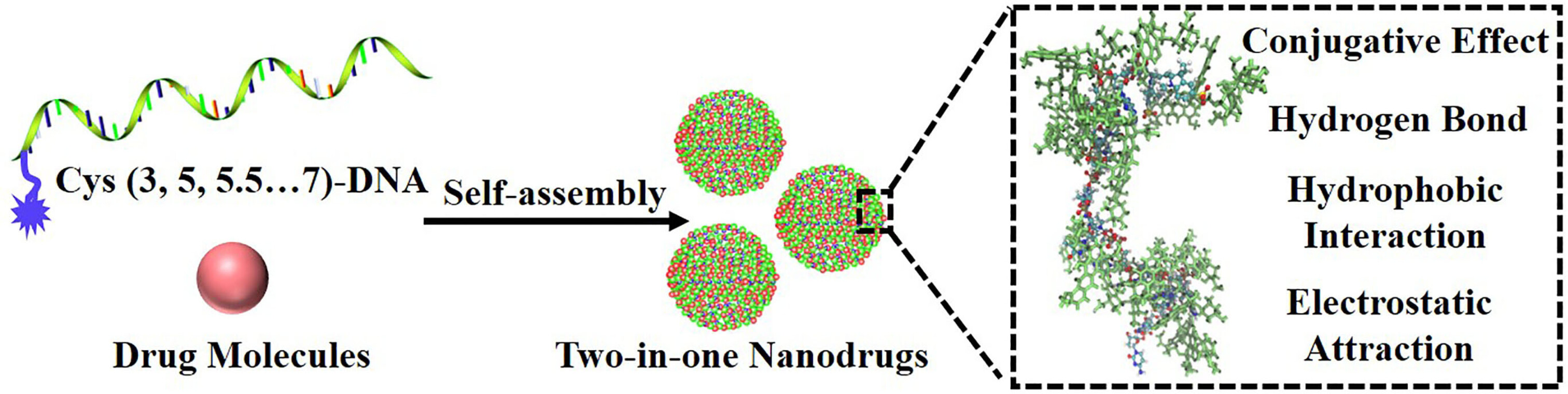 A Cyanine-Mediated Self-Assembly System for the Construction of a Two-in-One Nanodrug