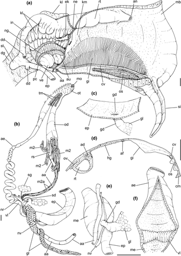 Details are in the caption following the image Details are in the caption following the image