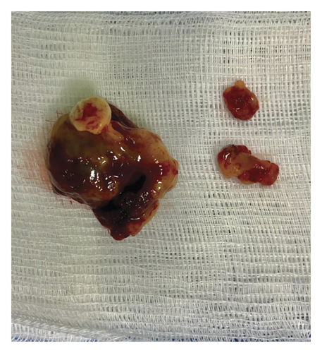 Details are in the caption following the image Details are in the caption following the image