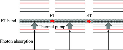 Functional Separation of Energy Transfer and Photon Absorption of Excitons Formed in Circular Nanoantennae