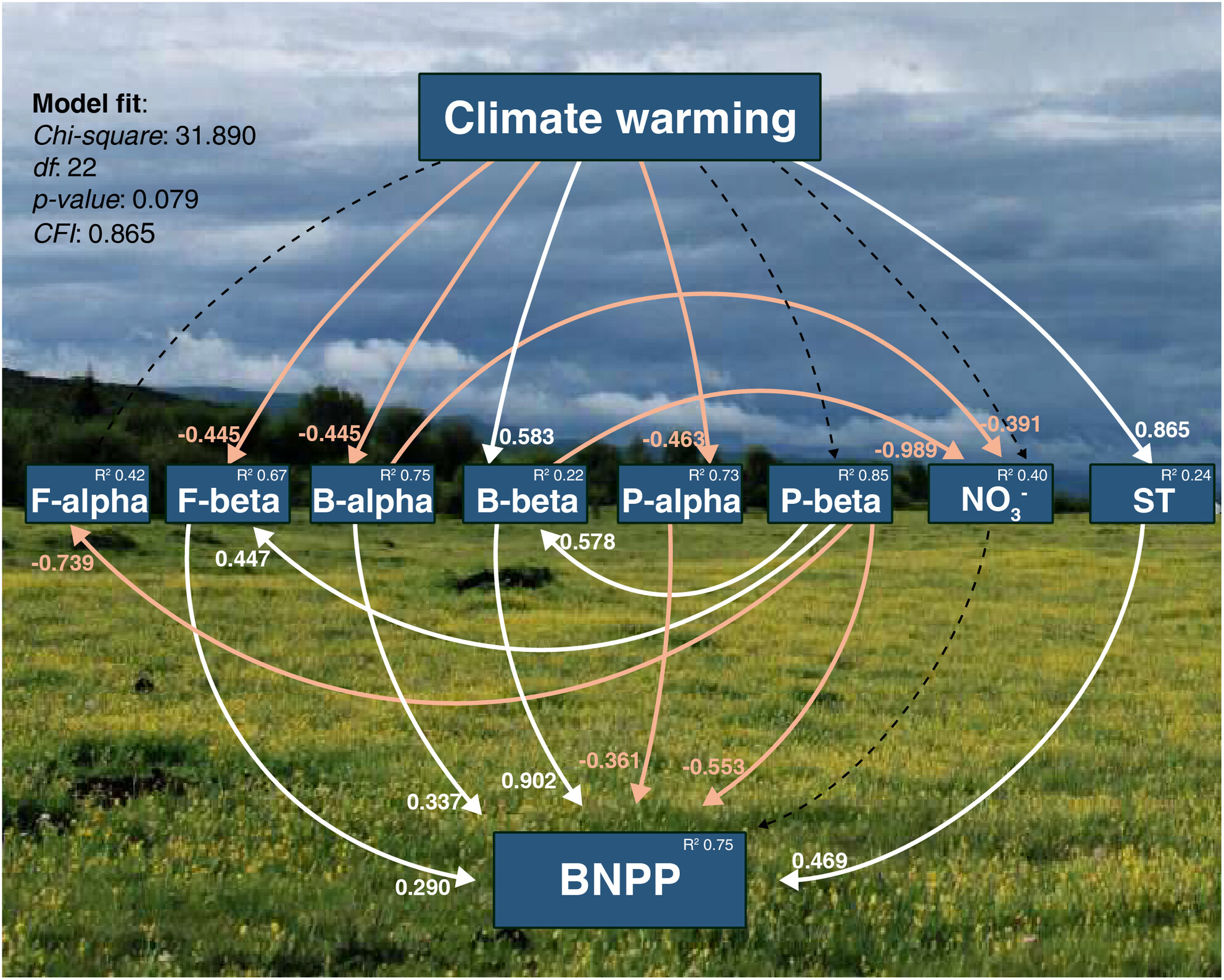 Soil Bacterial β-Diversity as a Key Determinant of Belowground Productivity in Warming Alpine Ecosystems