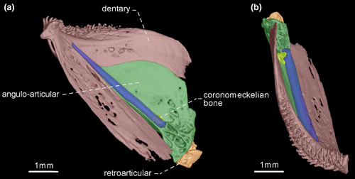 Details are in the caption following the image Details are in the caption following the image