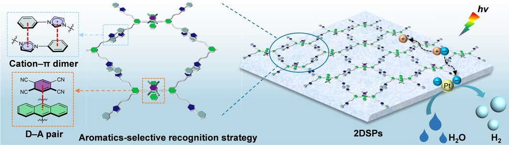 Two-dimensional Supramolecular Polymers Based on Selectively Recognized Aromatic Cation-π and Donor-Acceptor Motifs for Photocatalytic Hydrogen Evolution