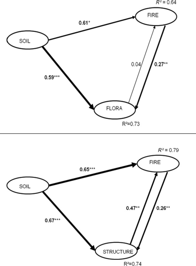 Relationships between fire history, edaphic factors and woody vegetation structure and composition in a semi-arid savanna landscape (Niger, West Africa)