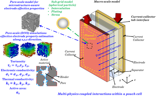 Details are in the caption following the image Details are in the caption following the image
