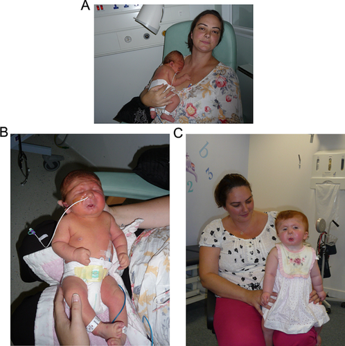 Details are in the caption following the image Details are in the caption following the image