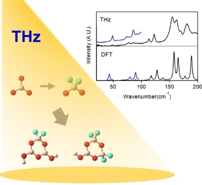 Where do the Fluorine Atoms Go in Inorganic-Oxide Fluorinations? A Fluorooxoborate Illustration under Terahertz Light