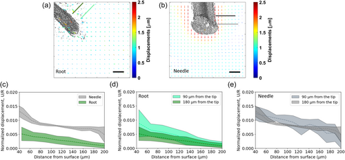 Details are in the caption following the image Details are in the caption following the image