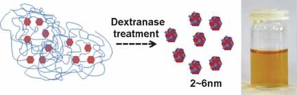 Controlled Nanoparticle Formation by Enzymatic Deshelling of Biopolymer-Stabilized Nanosuspensions