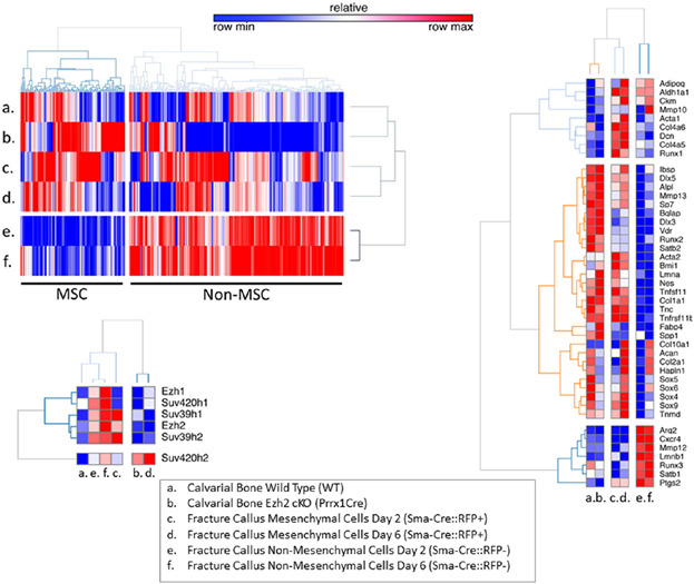 Histone H4 Methyltransferase Suv420h2 Maintains Fidelity of Osteoblast Differentiation