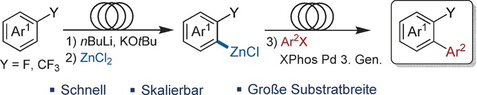 Continuous-Flow Synthesis of Biaryls by Negishi Cross-Coupling of Fluoro- and Trifluoromethyl-Substituted (Hetero)arenes