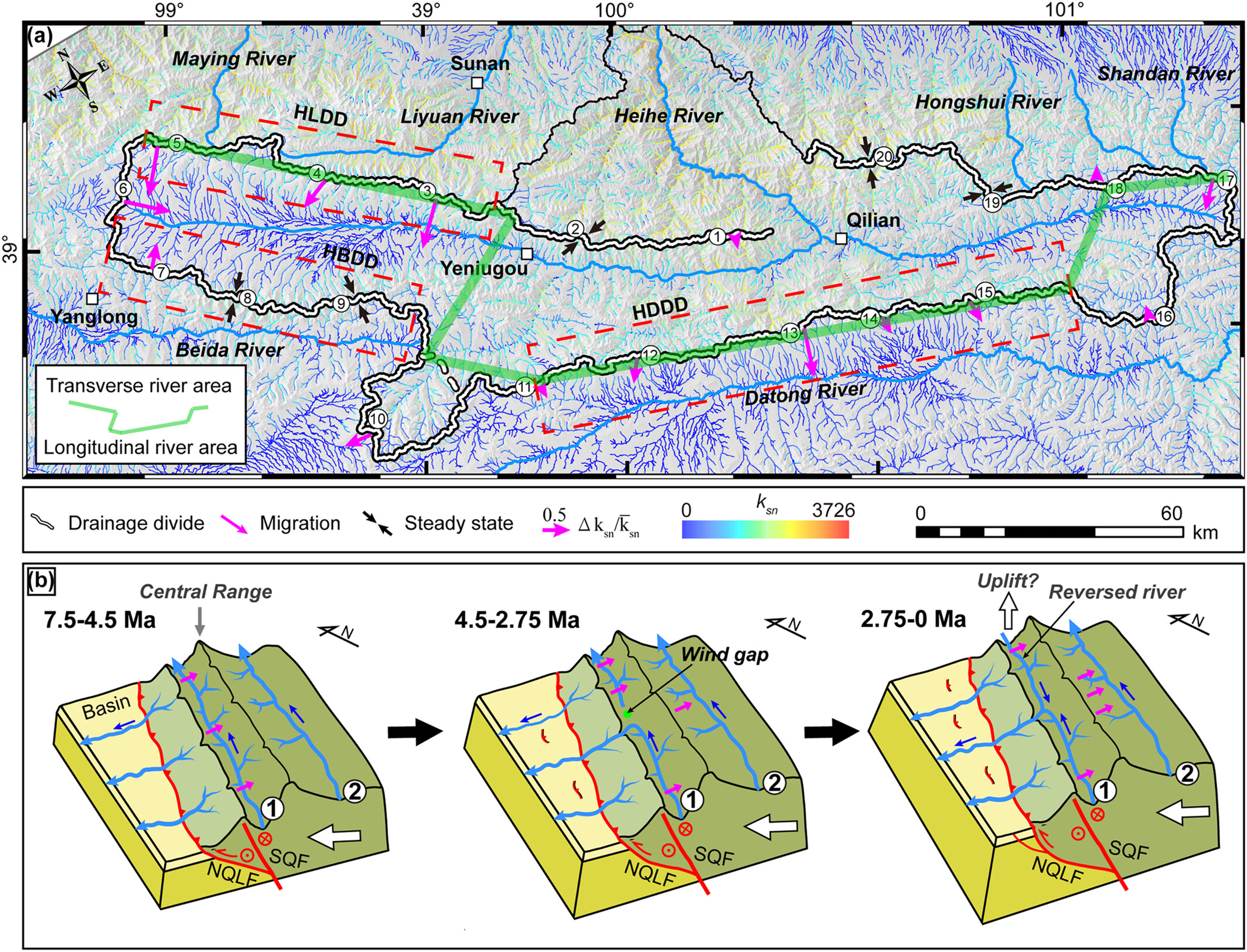 Drainage divides migration of the Heihe River in the Qilian Mountains, northeastern Tibet: Insights for the drainage reorganization in an orogenic belt