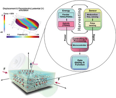 Dynamic Pluronic F127 Crosslinking Enhancement of Biopolymeric Nanocomposites for Piezo-Triboelectric Single-Hybrid Nanogenerators and Self-Powered Sensors