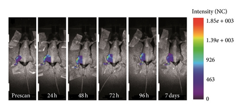 Details are in the caption following the image Details are in the caption following the image