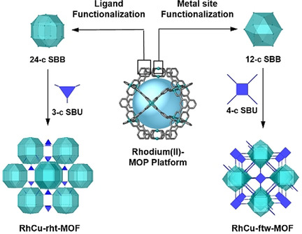Synthesis of Polycarboxylate Rhodium(II) Metal–Organic Polyhedra (MOPs) and their use as Building Blocks for Highly Connected Metal–Organic Frameworks (MOFs)