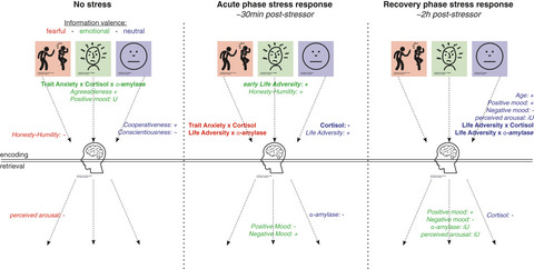 Individual differences in the encoding of contextual details following acute stress: An explorative study