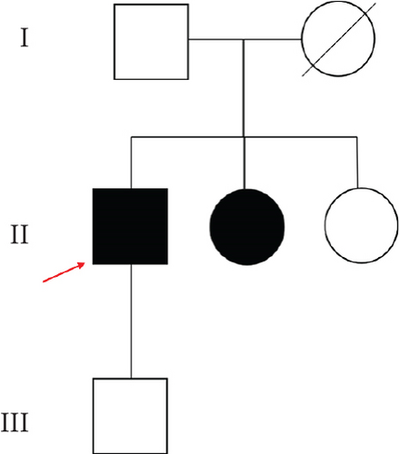 Details are in the caption following the image