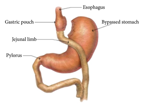 Details are in the caption following the image Details are in the caption following the image
