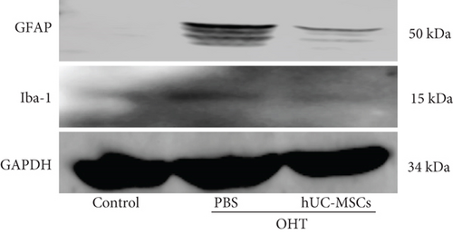 Details are in the caption following the image