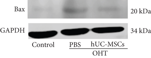 Details are in the caption following the image