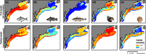 Projecting marine species range shifts from only temperature can mask climate vulnerability