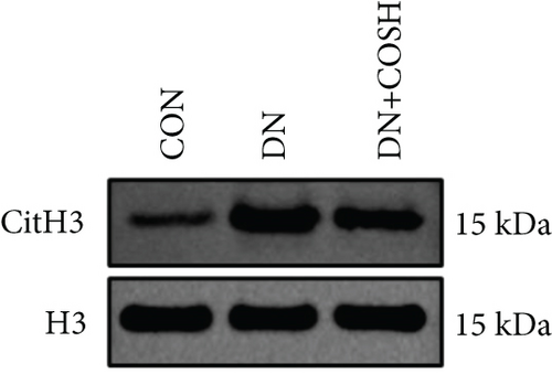 Details are in the caption following the image