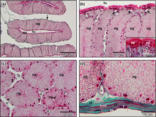 Details are in the caption following the image Details are in the caption following the image