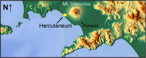 Details are in the caption following the image Details are in the caption following the image