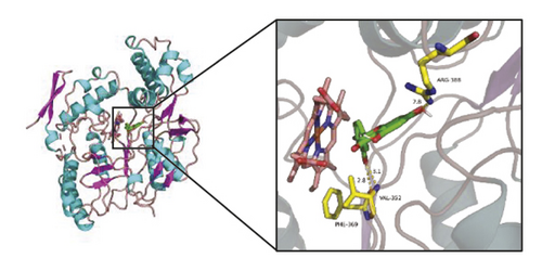 Details are in the caption following the image Details are in the caption following the image
