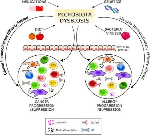 AllergoOncology: Microbiota in allergy and cancer—A European Academy for Allergy and Clinical Immunology position paper