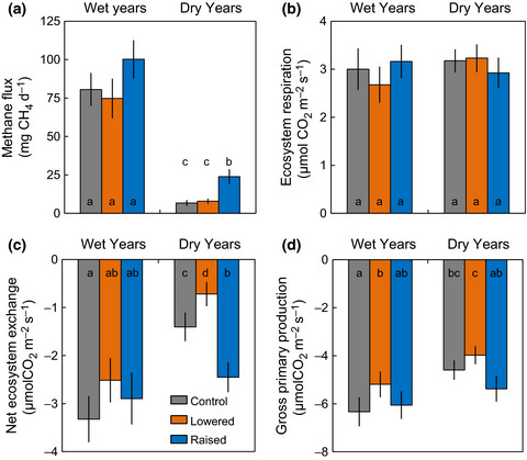 A decade of boreal rich fen greenhouse gas fluxes in response to natural and experimental water table variability