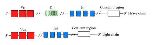 Details are in the caption following the image