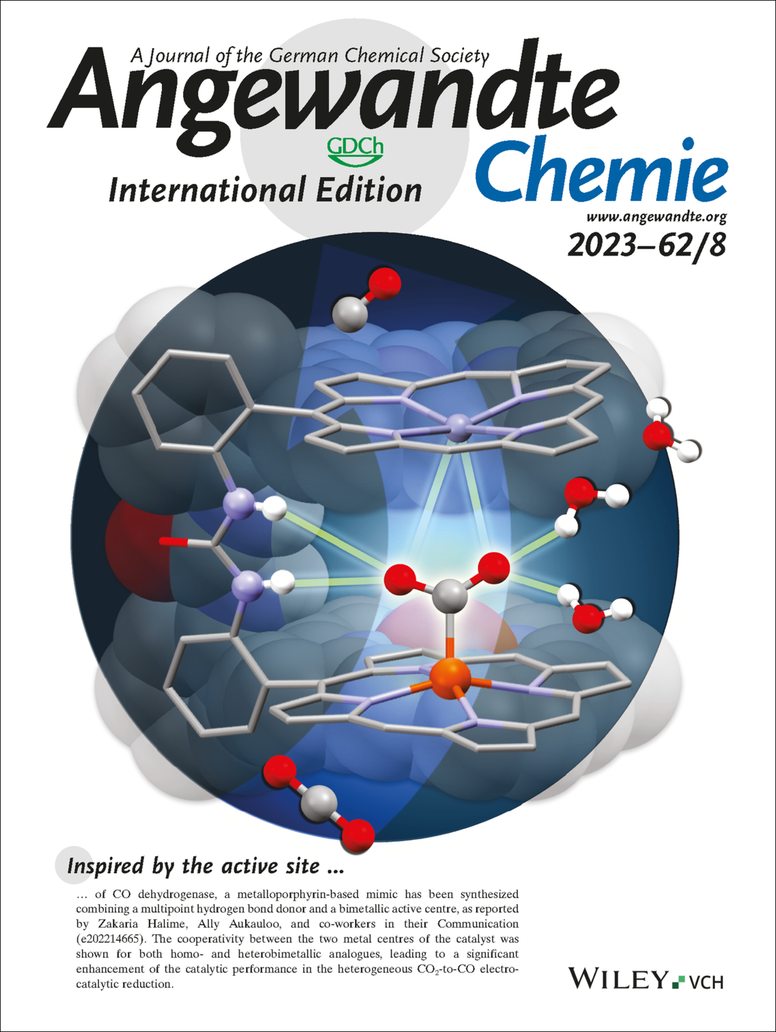 Back Cover: Bio-Inspired Bimetallic Cooperativity Through a Hydrogen Bonding Spacer in CO2 Reduction (Angew. Chem. Int. Ed. 8/2023) Volume 62 Issue 8, 2023