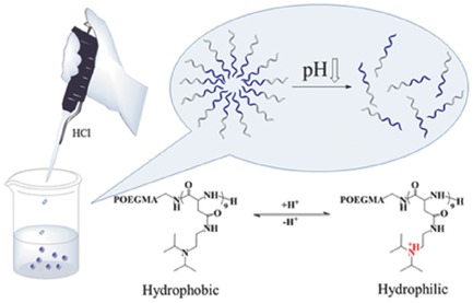 Sharp-pH-Sensitive Amphiphilic Polypeptide Micelles with Adjustable Triggered pHs by Salts via the Hofmeister Effect