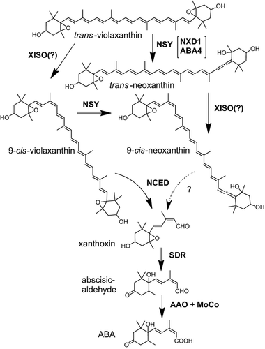 Details are in the caption following the image