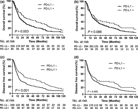 Programmed death-ligand 1 is prognostic factor in esophageal squamous cell carcinoma and is associated with epidermal growth factor receptor
